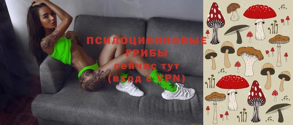кокс Аркадак
