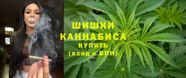 прущая мука Арсеньев