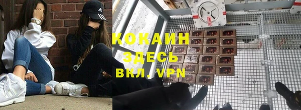 прущая мука Арсеньев