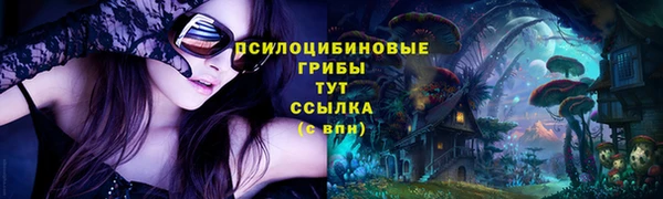 тгк Алзамай