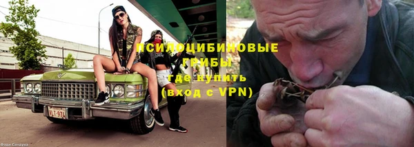прущая мука Арсеньев