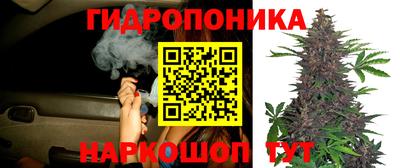 индика Донецк