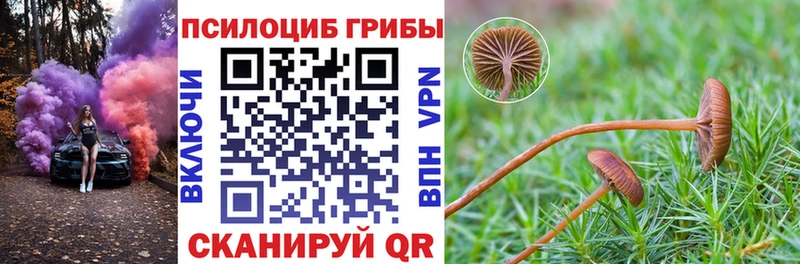 Галлюциногенные грибы ЛСД Усть-Илимск